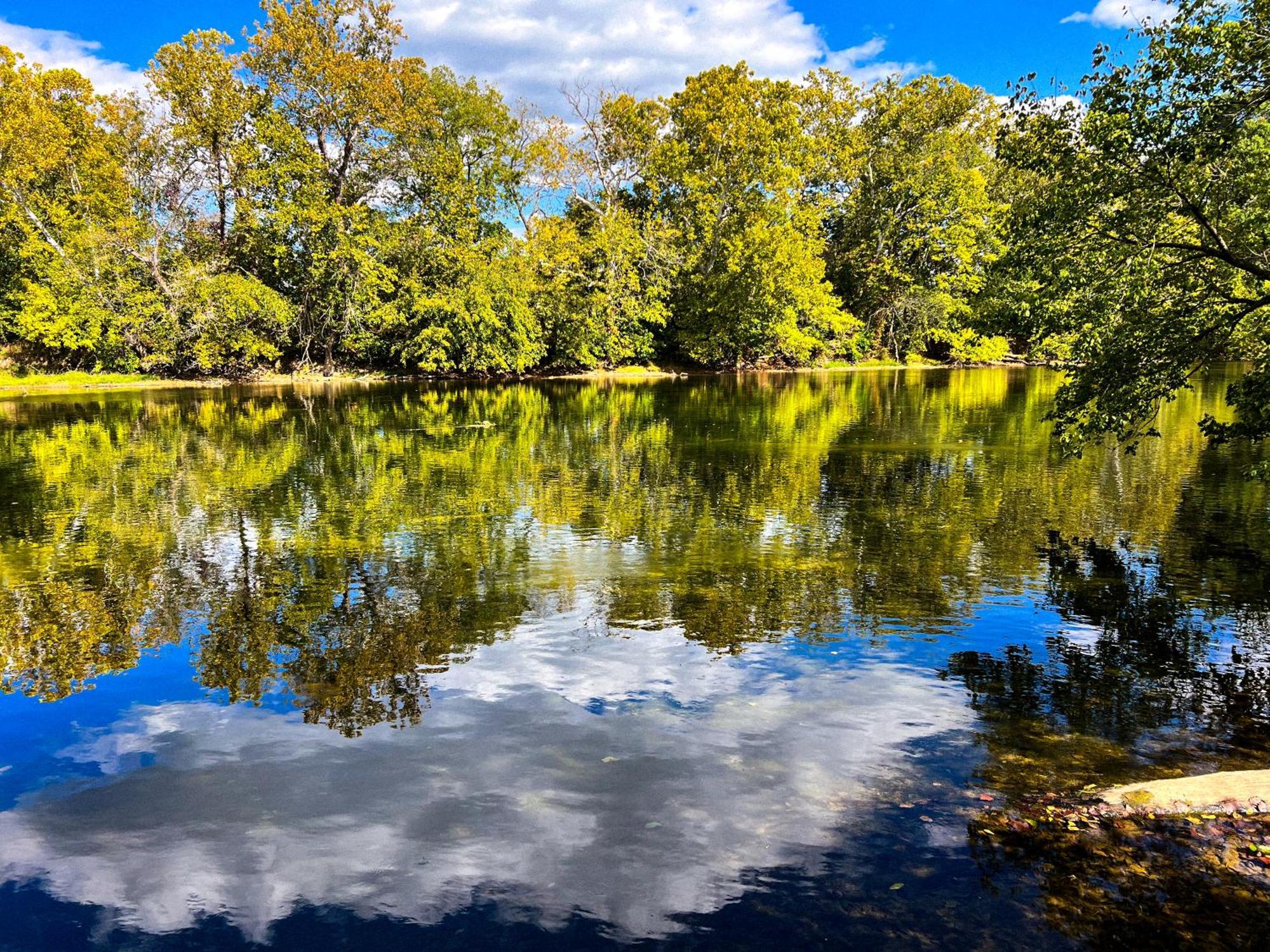 Rv On Shenandoah River